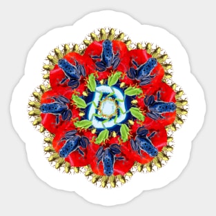 Blue frogs on the poppy Mandala Sticker